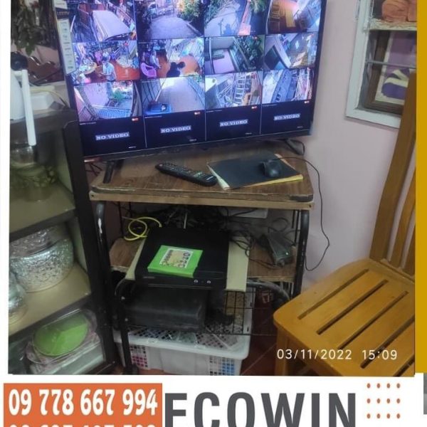 ecowin1